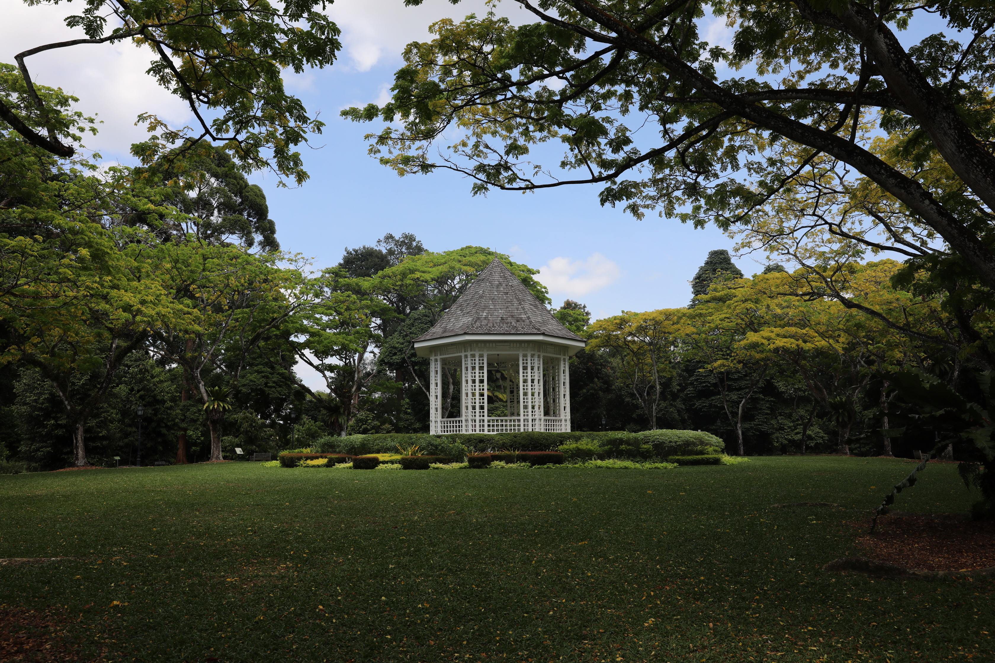 2020 02 03 15 01 09 Canon EOS 5D Mark IV 0030